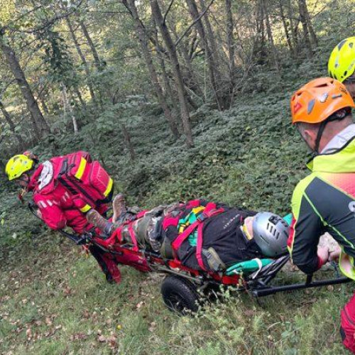 Parapantist salvat dintr-un copac de salvatorii montani din Hunedoara