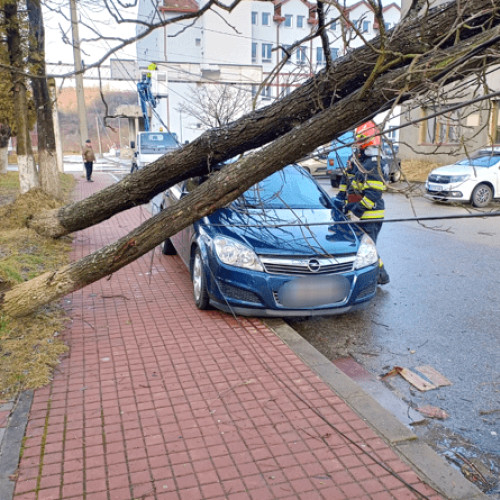 Vântul Puternic cauzează pagube în Valea Jiului și Deva