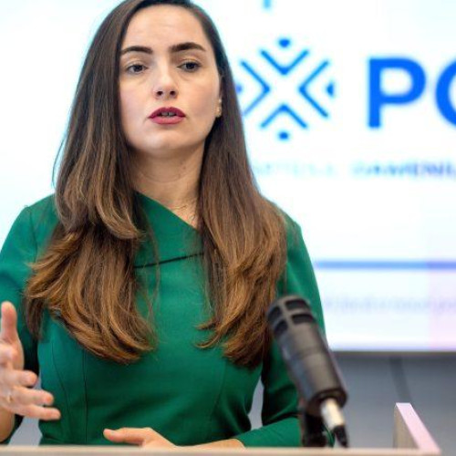 Deputatul Anamaria Gavrilă: Copiii români instituționalizați în străinătate să fie aduși acasă și controalele la firme să se facă doar cu body camera pentru ca să eliminăm controalele abuzive